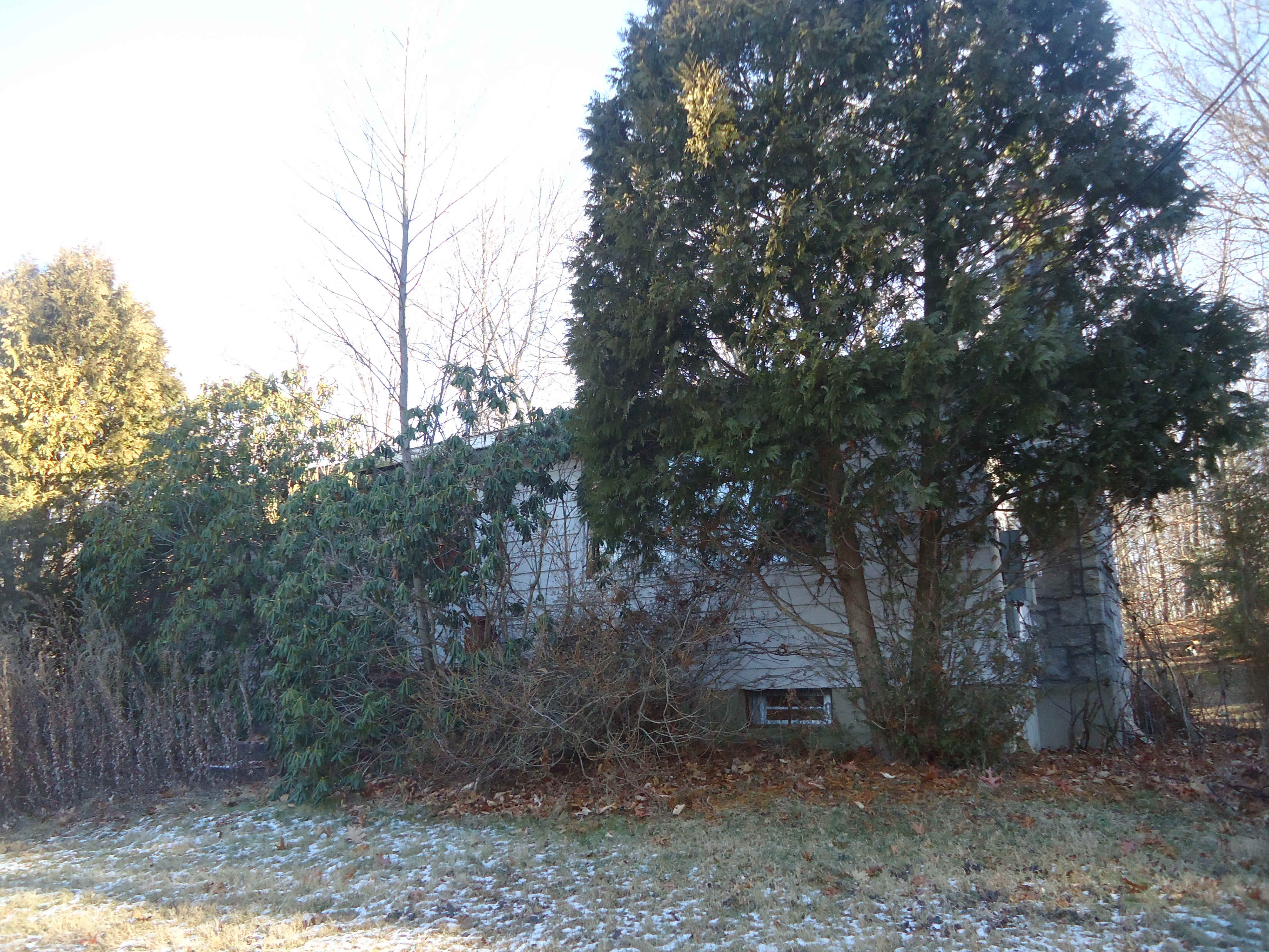 Building photograph for 41 GARRITY LN
